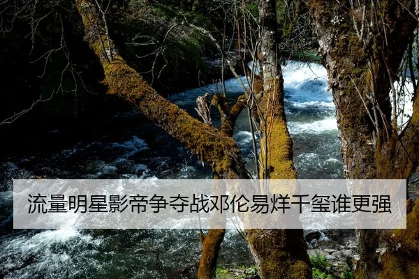 流量明星影帝争夺战邓伦易烊千玺谁更强
